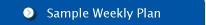 See a Sample Weekly Plan for getting organized online and reduce stress