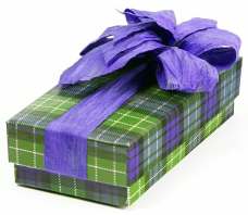 Wrappedgiftsm