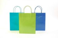 Shoppingbags2