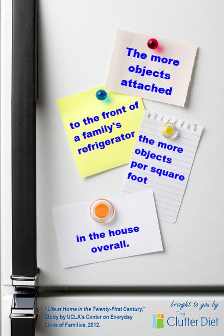 Clutter Diet Blog- How American Families Live in the 21st Century